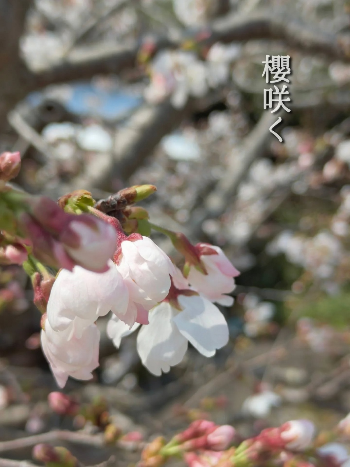 March 28, 2026 at 11:41AM