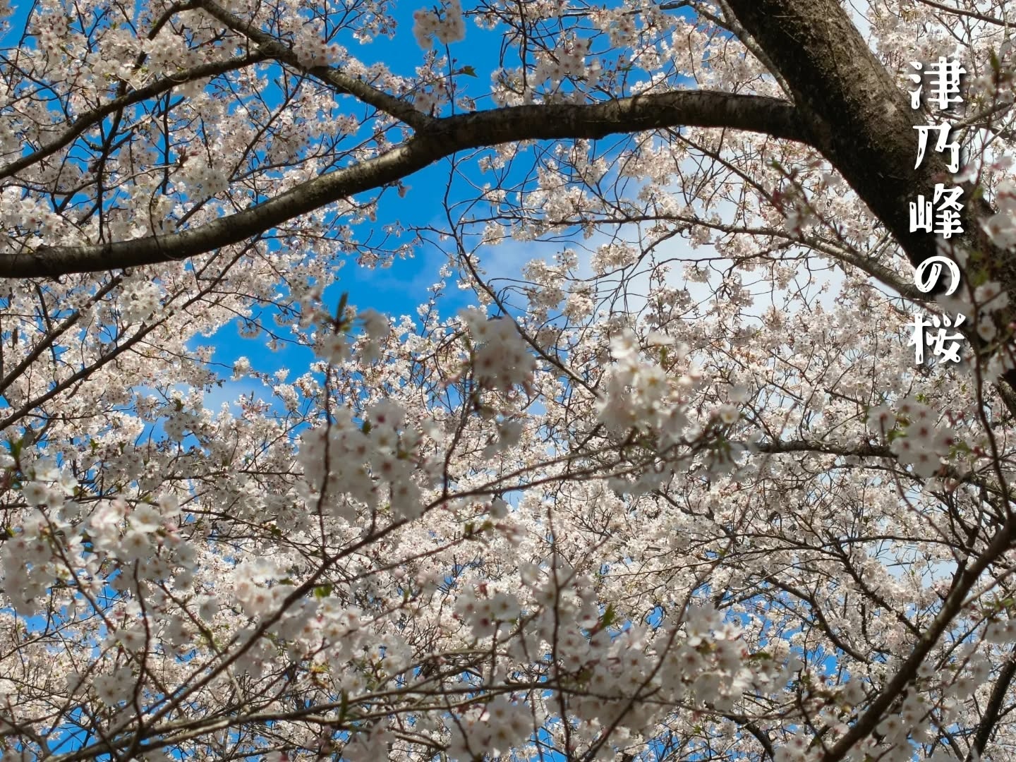 April 5, 2026 at 05:58PM